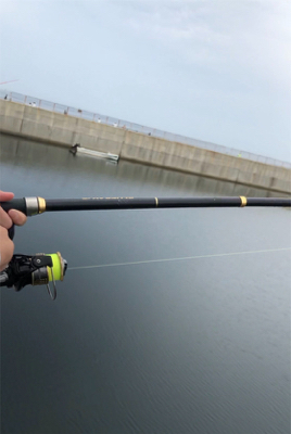 ハマチはまだか、、