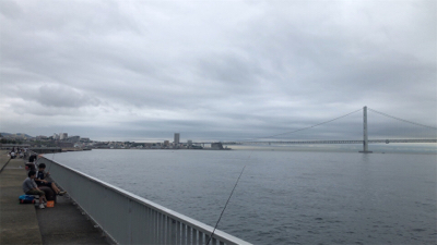 メタルジグに大タコ