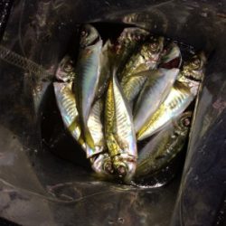 フロートアジング