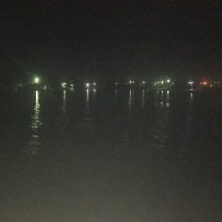 泳がせでハネが三匹