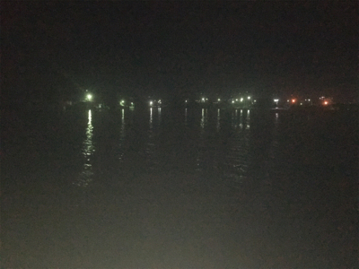 泳がせでハネが三匹