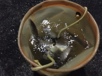 まさに入れ食い