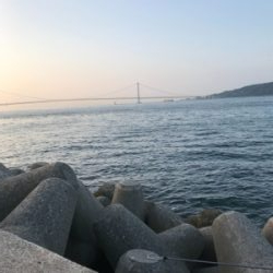 リリースサイズばかり