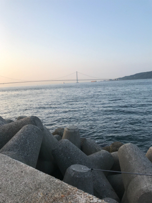 リリースサイズばかり