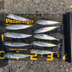 青物は何処へ…