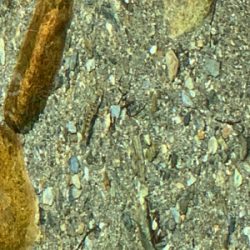 渓流に癒されて