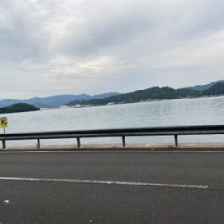 ロックフィッシュ