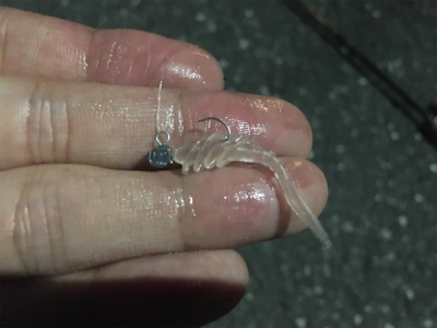 安定の入れ食い状態