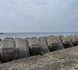 今日もイカ釣り(^_^)