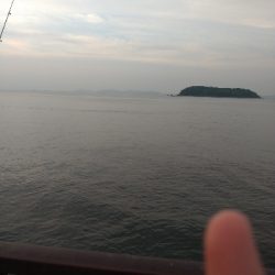 サバ入ってます!!