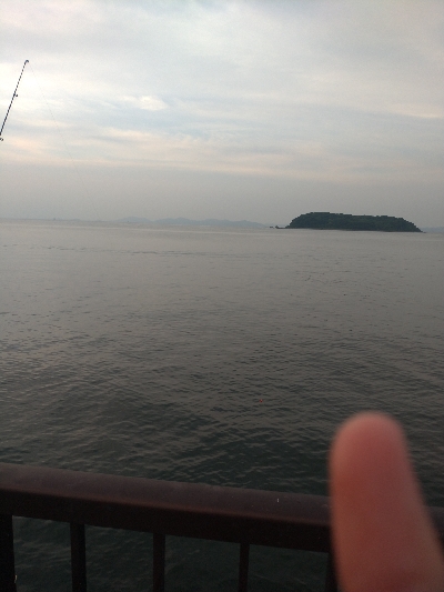 サバ入ってます!!