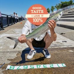 神戸空港ベランダで青物回遊中!!!!