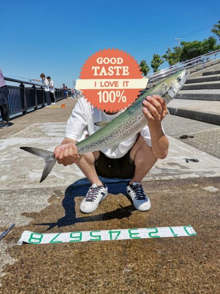 神戸空港ベランダで青物回遊中!!!!