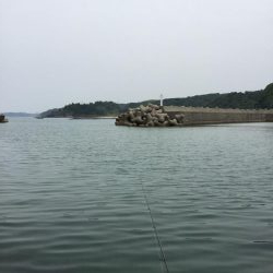 港内ちょい投げキス好調