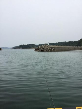 港内ちょい投げキス好調