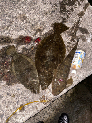 おてがる高級魚