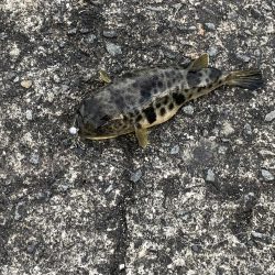 ぼちぼち当たりあり。