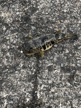 ぼちぼち当たりあり。