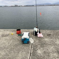 久しぶりの中アジ狙い