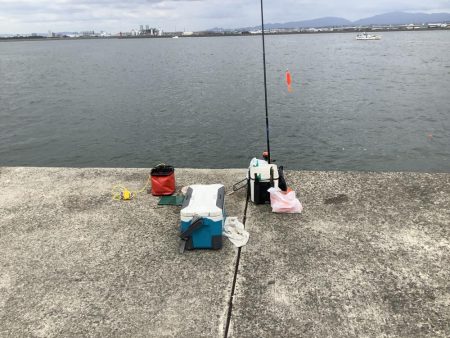 久しぶりの中アジ狙い