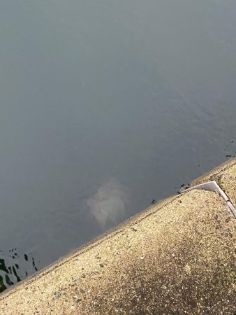 コブダイハント失敗