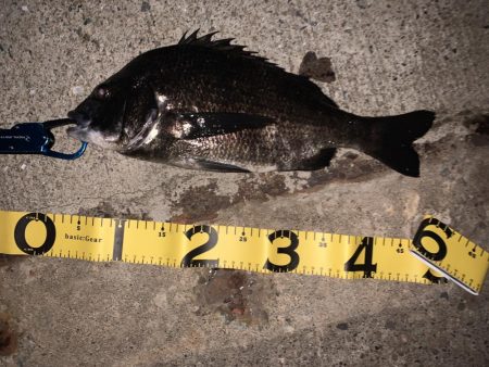 ナイトチニング