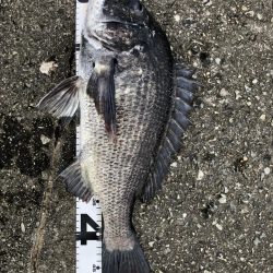 イチノ兄弟、釣果！