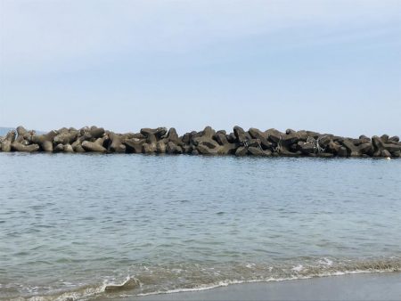 今年初のキス釣り。