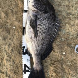 イチノ兄弟、釣果！