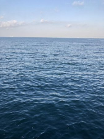 激渋の中での2本