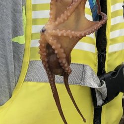 はじめての紀州釣り