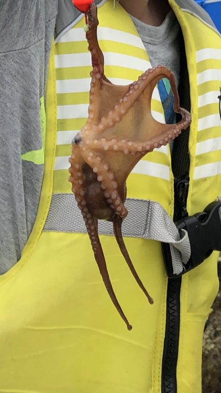 はじめての紀州釣り