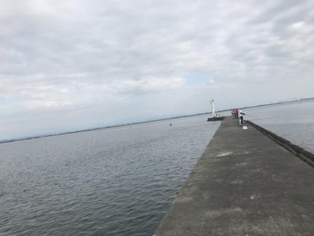 初の三重でアジ、サバ