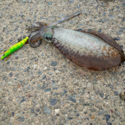 宮津西部〜丹後2キロ連発！！