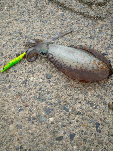 宮津西部〜丹後2キロ連発！！