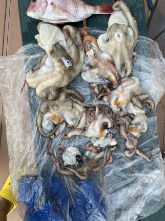 タイラバ渋かった