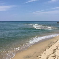 サーフ小型青物回遊