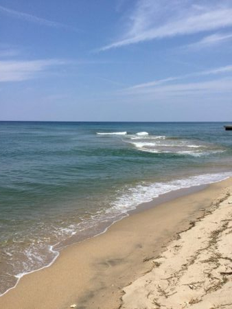 サーフ小型青物回遊