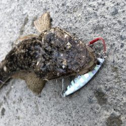 天降川のリベンジ