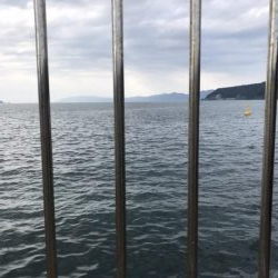 サイズダウン…