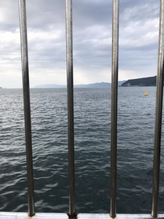 サイズダウン…