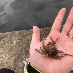 毎投あたりあり！ぶるぶる感が楽しいキス釣り。