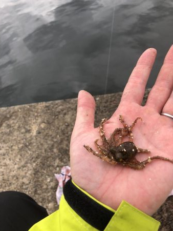 毎投あたりあり！ぶるぶる感が楽しいキス釣り。