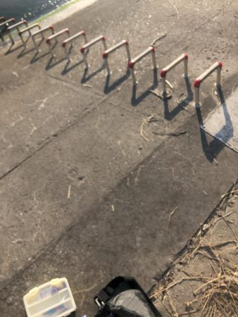 夕まづめにチヌ