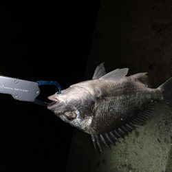 雨上がりのウキ釣り