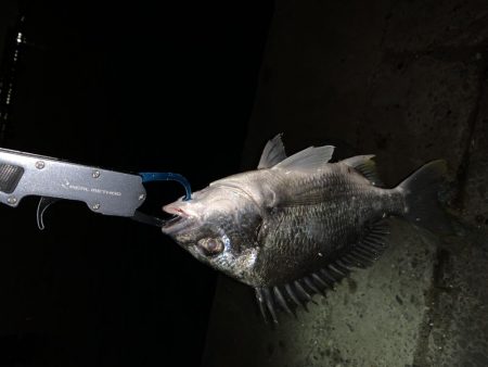 雨上がりのウキ釣り