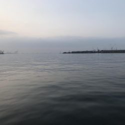 リベンジならず