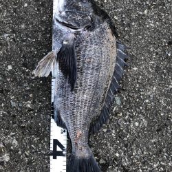 イチノ兄弟、釣果!