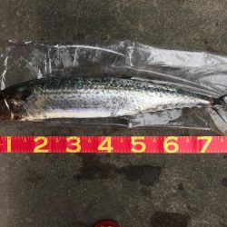 初❗️、、パート3