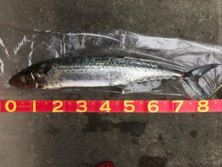 初❗️、、パート3